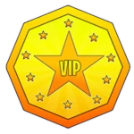 ⭐ VIP