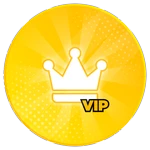 ✨ VIP ✨