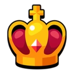 👑 VIP
