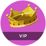 👑 VIP