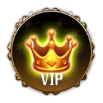 VIP