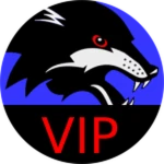VIP