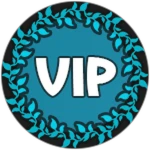 💎VIP!