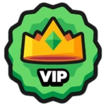 👑VIP
