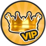 ⭐ VIP!