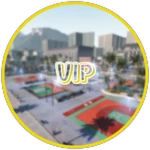 VIP