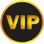 👑VIP👑