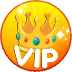 VIP ACCESS