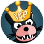VIP DELUXE