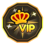 VIP Fast Lane