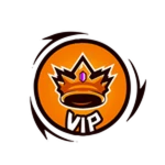 VIP + Insta Spin