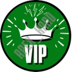VIP+MP40