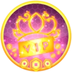 VIP Pass