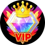 VIP Pass