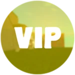 VIP Pass