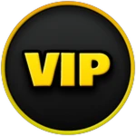 VIP Pass