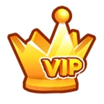 VIP Room Access