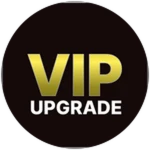 VIP Upgrade