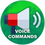 Voice Commands