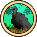 Vulture Skins