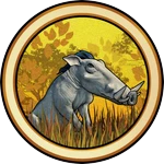 Warthog Skins