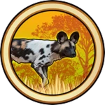 Wild Dog Skins