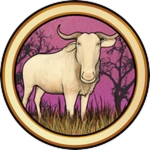 Wildebeest Skins
