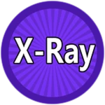 X-Ray