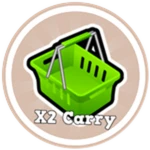 X2 Carry Capacity 
