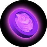 X2 Cat Coin