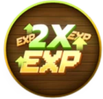 x2 Exp
