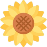 X2 Sunflower