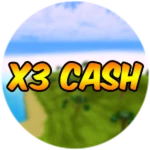 x3 Cash