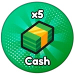 x5 Cash