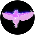 Zamasu Skills
