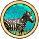 Zebra Skins