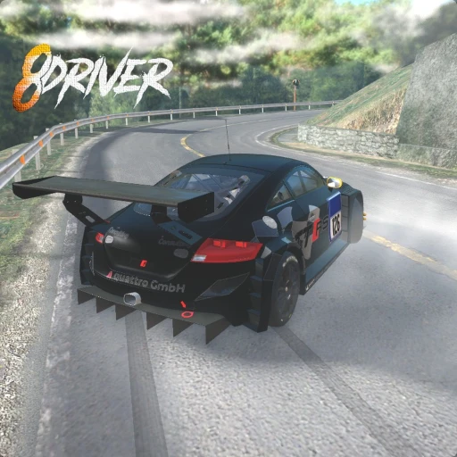 Eight Driver Car Racing