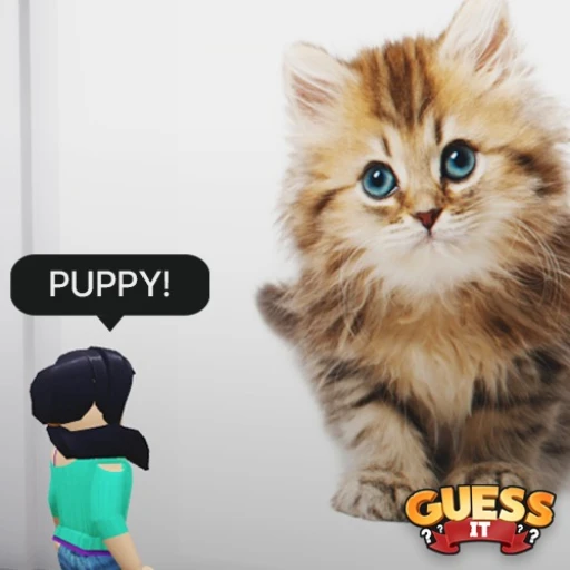 Guess It: Images
