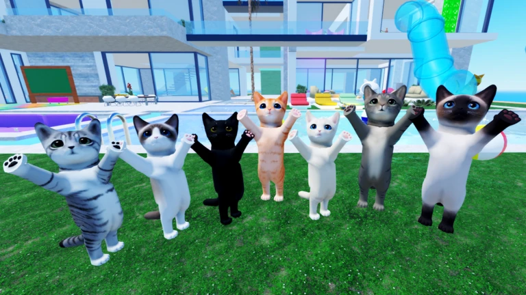 Kitten Game