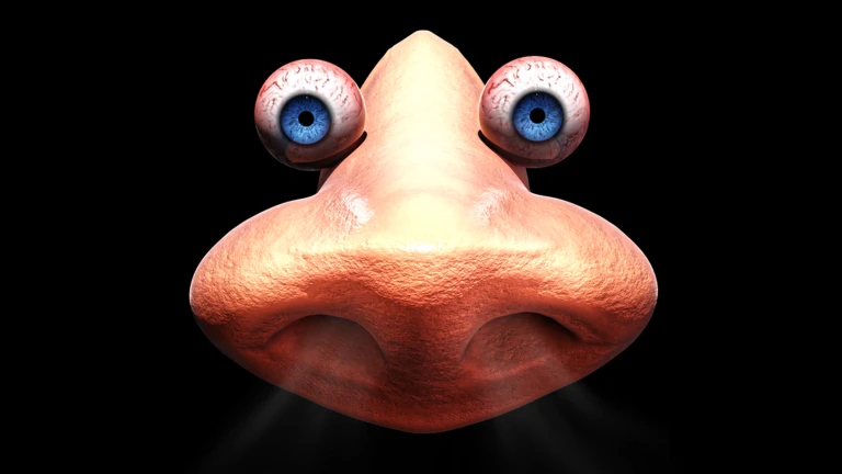 NOSE ESCAPE