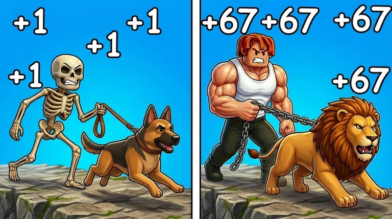 Pets Training