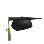 2009 Graduation Cap