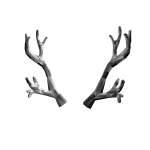 BIG: Silverthorn Antlers