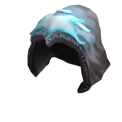 Disguised Ice Prince