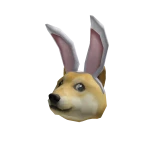 Doge Bunny