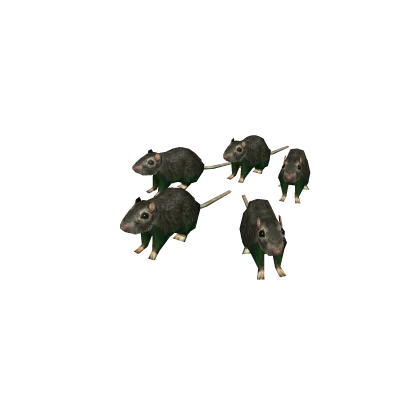 Flayed Rats