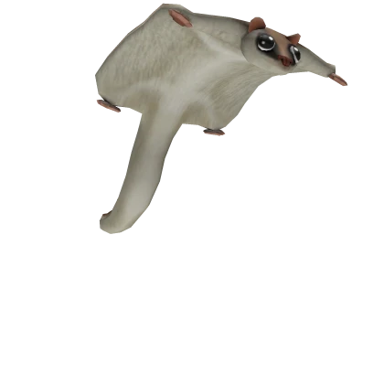 Flying Squirrel Friend