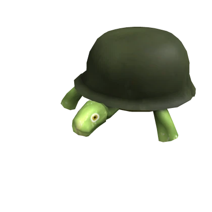 General Turtle