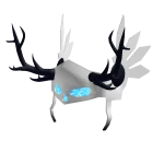Ghosdeeri Valkyrie
