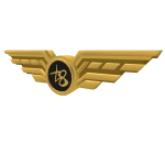 Gold Pilot Wings - Tate McRae